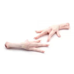 Frozen-Chicken-Feet-Frozen-farms-exports2-600×600